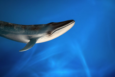 Similar image 21133822