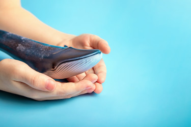 Similar image 21133823