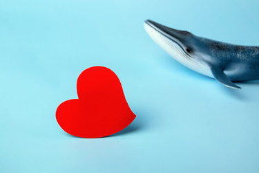 Similar image 21133824