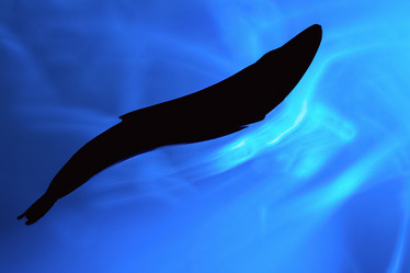 Similar image 21133825