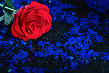 Similar image 21133835