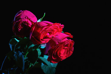 Similar image 21133839