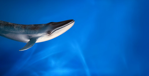 Similar image 21133841