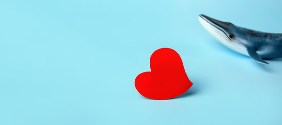 Similar image 21133844