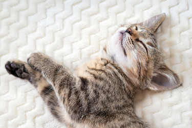 Similar image 21133848