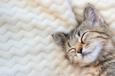 Similar image 21133850