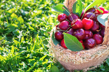 Similar image 21133852