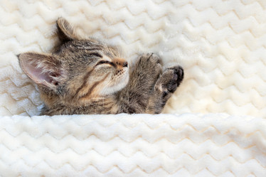 Similar image 21133853