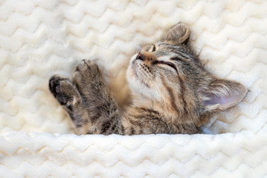 Similar image 21133854