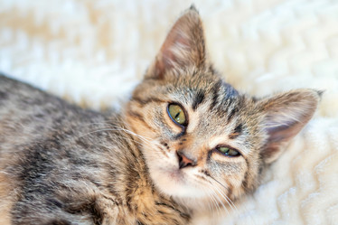 Similar image 21133855