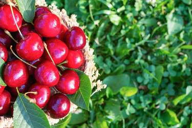 Similar image 21133856