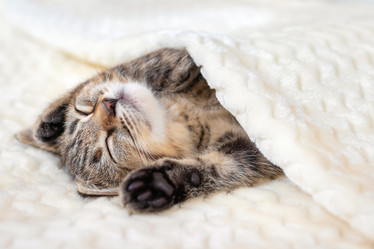 Similar image 21133858