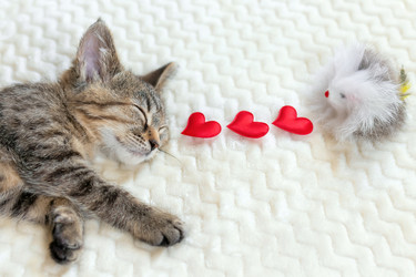 Similar image 21133859