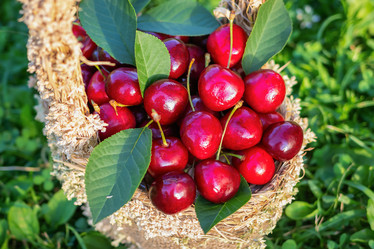 Similar image 21133860