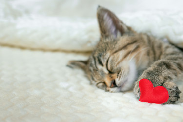 Similar image 21133861