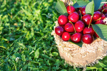 Similar image 21133862