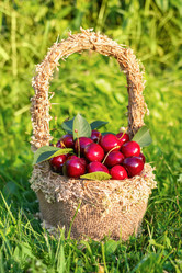 Similar image 21133863