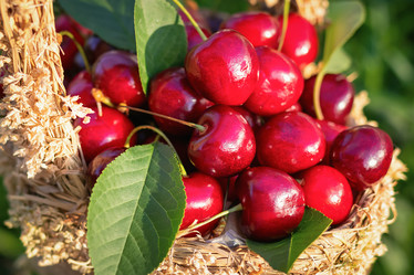 Similar image 21133865