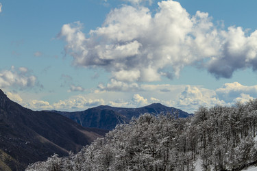 Similar image 21133884