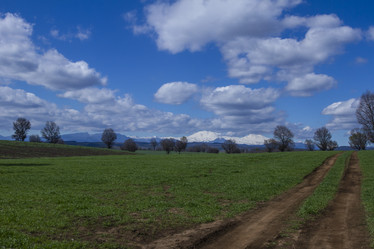 Similar image 21133894