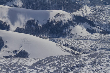 Similar image 21133895