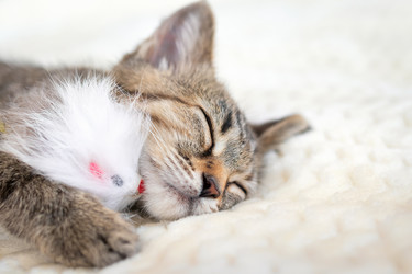 Similar image 21133917