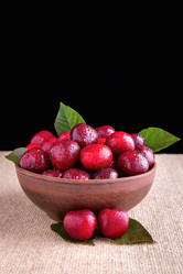 Similar image 21133918