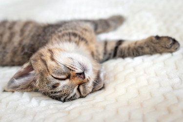 Similar image 21134549