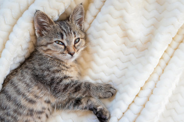 Similar image 21134559