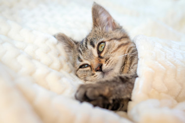 Similar image 21134562