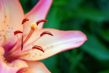 Similar image 21134563