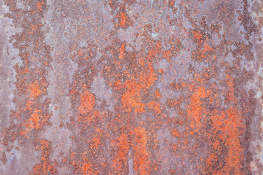 Similar image 21134568