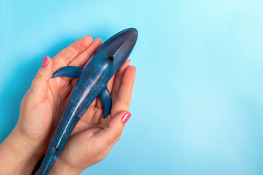 Similar image 21134584