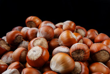 Similar image 21133919