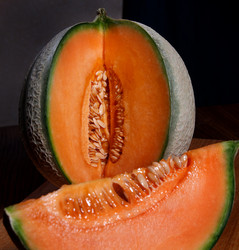 Similar image 21134594