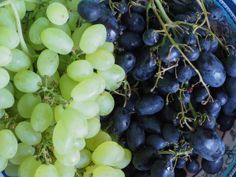 Similar image 21143978