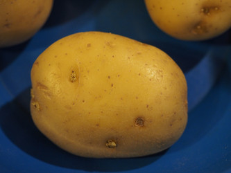 Similar image 21142029