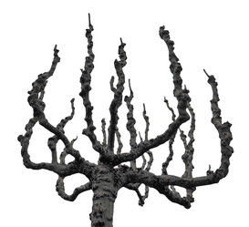 Similar image 21144051