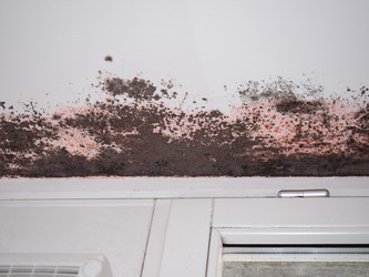 Similar image 21144052