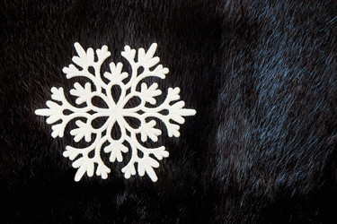 Similar image 21133934