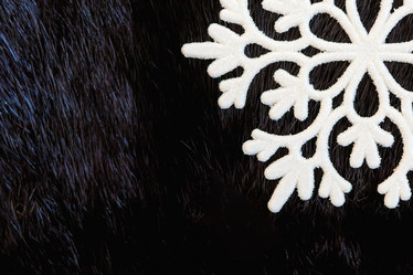 Similar image 21133935