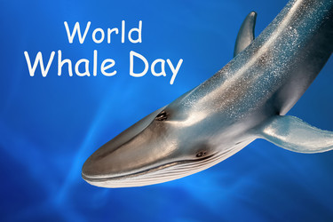 Similar image 21133951