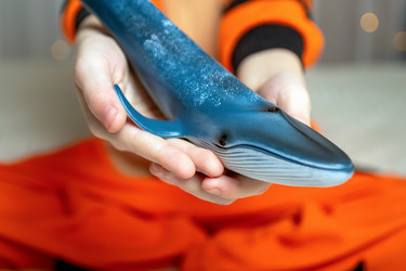 Similar image 21133952