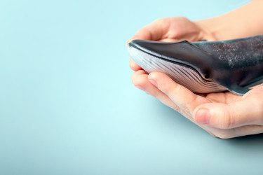 Similar image 21133953