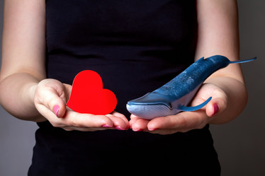 Similar image 21133959