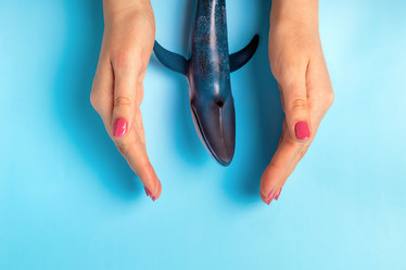 Similar image 21133960