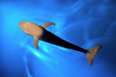 Similar image 21133968