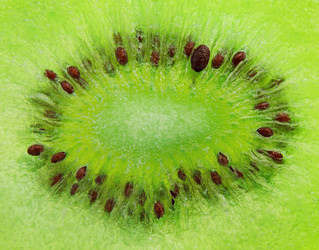 Similar image 21134597