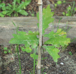 Similar image 21144055