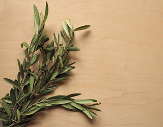 Similar image 21142038